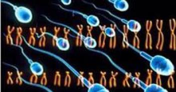 Гаплоидный и диплоидный набор хромосом